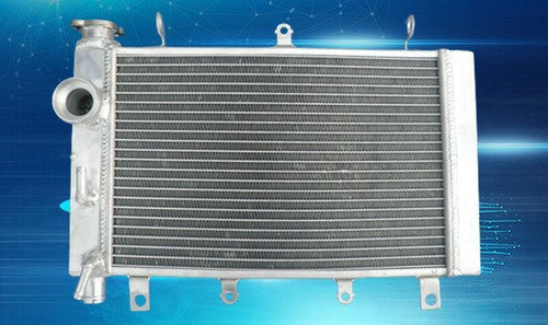 Aluminum radiator 2000-2003