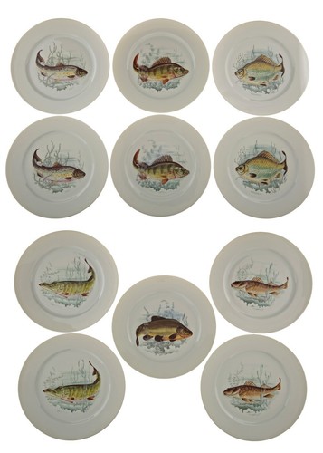 Assiettes poisson en - 11,