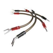 Câble cavalier Chord Epic XL