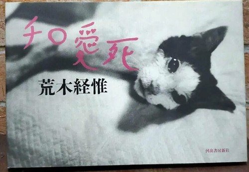 Livre japonais nobuyoshi araki - nobuyoshi,