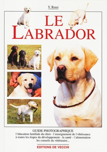 Labrador - le,