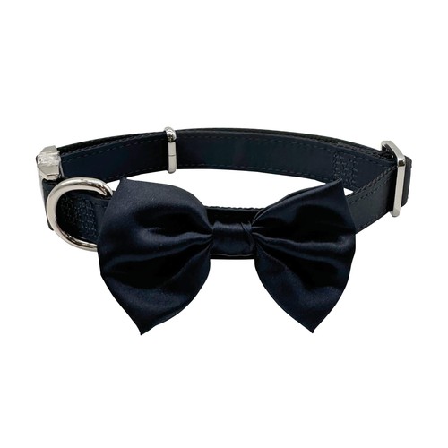 Ceremony collier pour - ceremony, chien