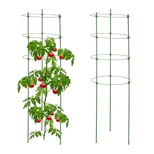 Support plantes grimpantes