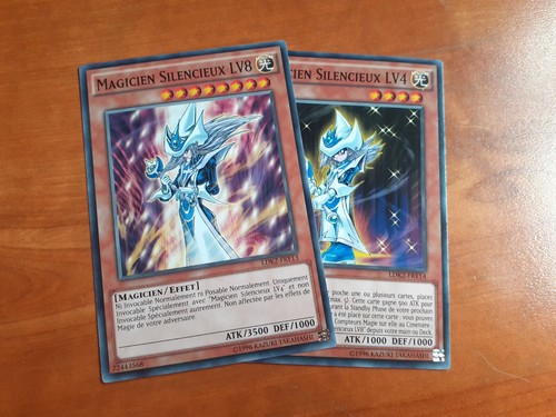 Lot magicien silencieux lv4 - lot, +