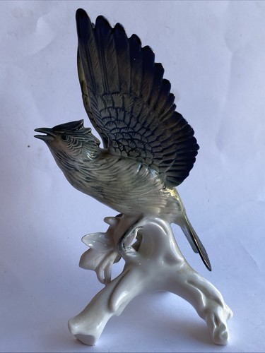 Alouette ailes déployés - ailes,