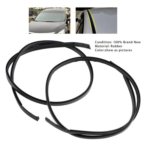 2pcs roof drip molding trim - roof,