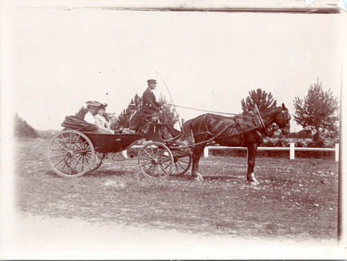 France calèche voiture à - calèche,,