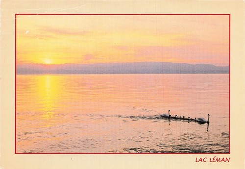 Suisse lac leman - lac,