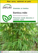 SAFLAX - Kit de culture -