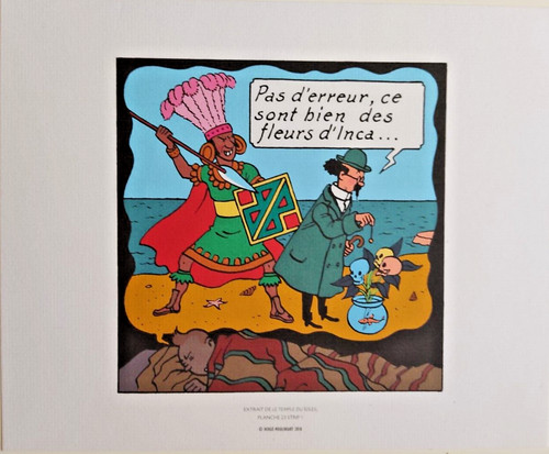 Libris tintin temple du - ex-libris, le
