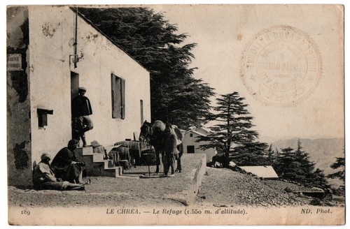 Cpa algerie chrea 189 - algerie,