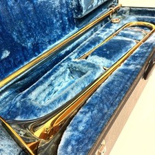 Modèle professionnel trombone