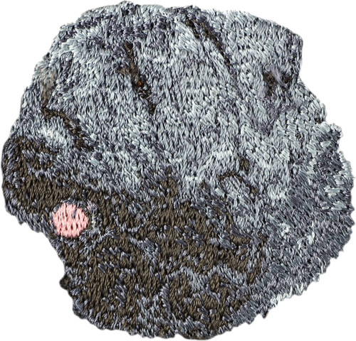 Bouvier des flandres - bouvier,