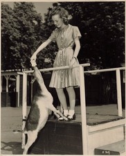 PETULA CLARK vice versa photo