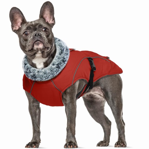 Manteaux imperméable pour - manteaux,