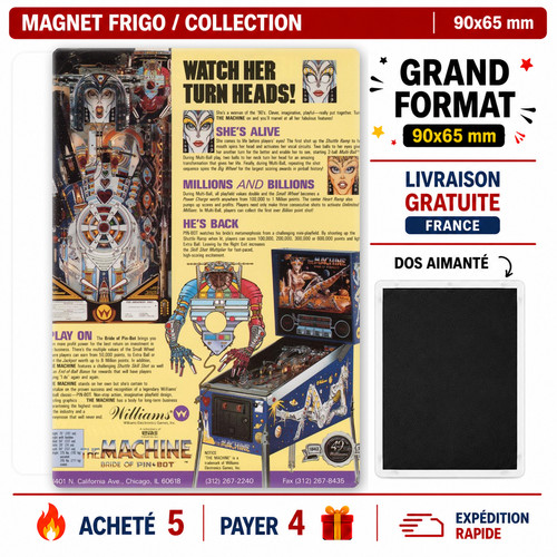 Magnet frigo flipper the - magnet,