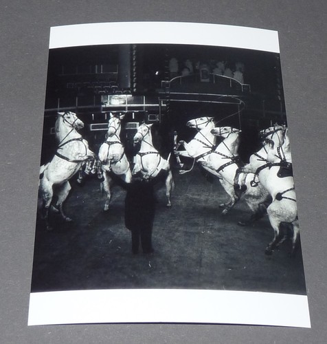 Photo 15x11 cirque freres - photo,