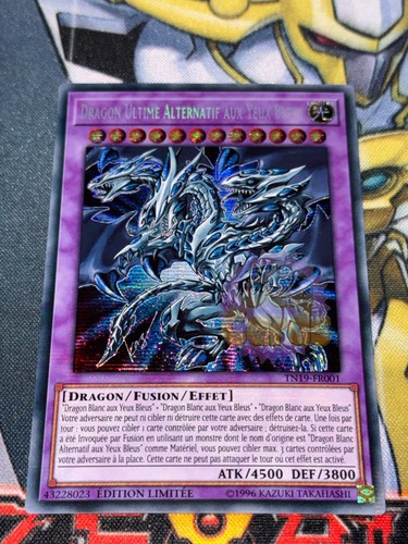 Carte dragon ultime - gi,