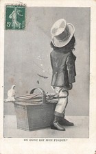 CP OU EST MON PIGEON - GARCON