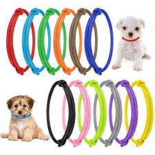 12 Pièces Collier Chiot