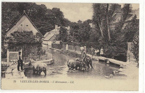 Veules les roses - roses,