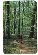 Young Girl Boy Walking WARREN WOODS Galien River Three Oaks Michigan MI Postcard