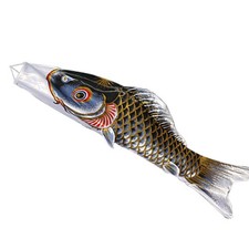 Koinobori Carp Koi Poisson