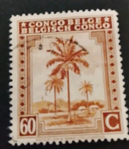 Congo belge timbre palmier - timbre,