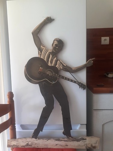 Johnny hallyday rare - plv, en