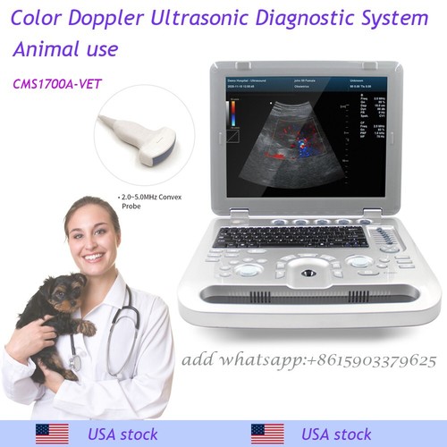 Veterinary color doppler - veterinary,