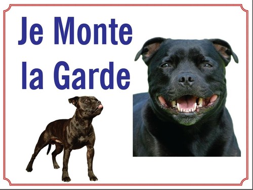 Attention chien je monte - au,