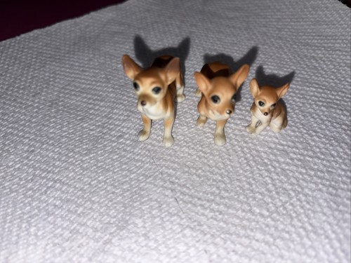 Vintage miniature chihuahua - vintage,