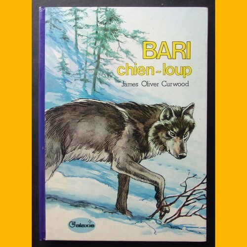 Bari chien loup james - chien-loup,