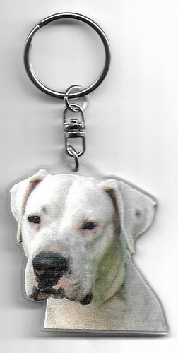 Dogue argentin porte clés - argentin,