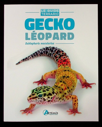 Gecko leopard reptiles nac - gecko,