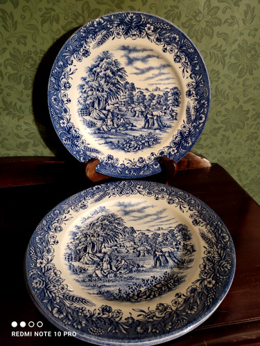 Assiettes plates cm - 3,