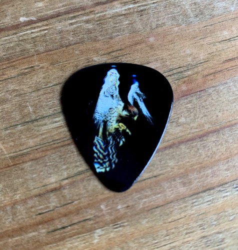 Pick guitare décontracté