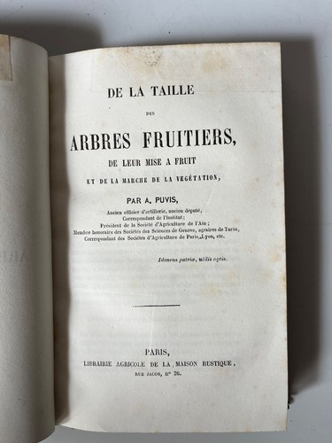 1860 puvis taille des - puvis,