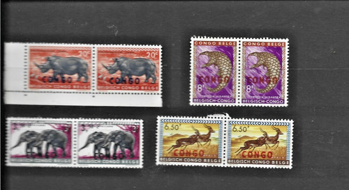 Animaux congo belge - congo,