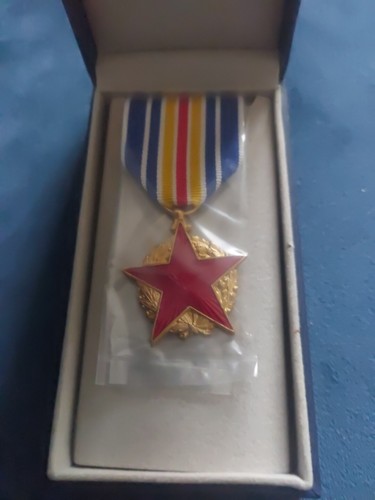 Médaille des blessés - médaille,