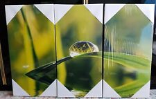 Tableau triptyque végétal vert et blanc Nature très frais