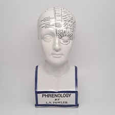 Phrenology Bust 11.75" L.N