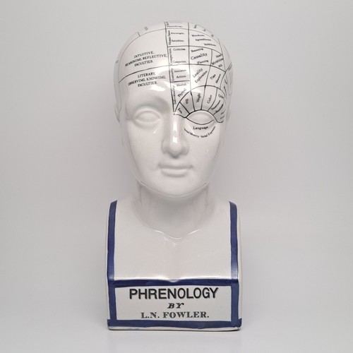 Phrenology bust l n - 11.75", l.n