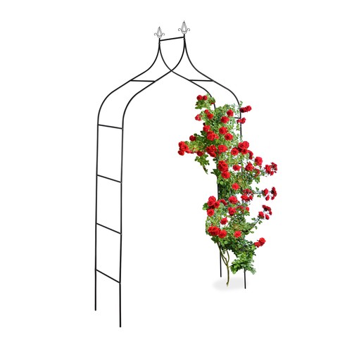 Portail rosier arche - rosier, de