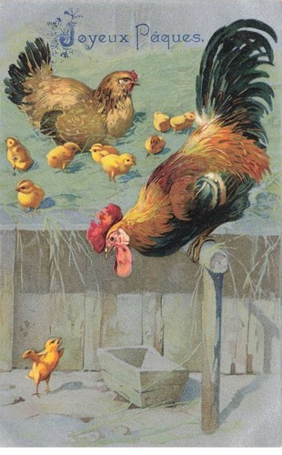 Oiseaux mk41578 joyeuses - #mk41578,