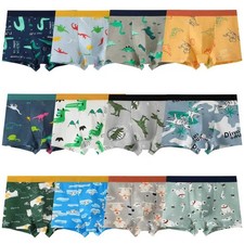 Lot de 12 Boxers pour garçons