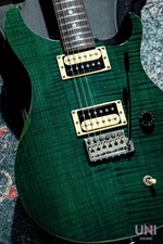 Paul Reed Smith(PRS) SE Custom
