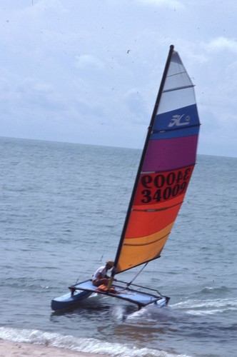 1981 hobie cat - hobie, catamaran