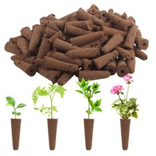 100 Pièces Éponges de