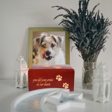  Urne Pour Cendres De Chat